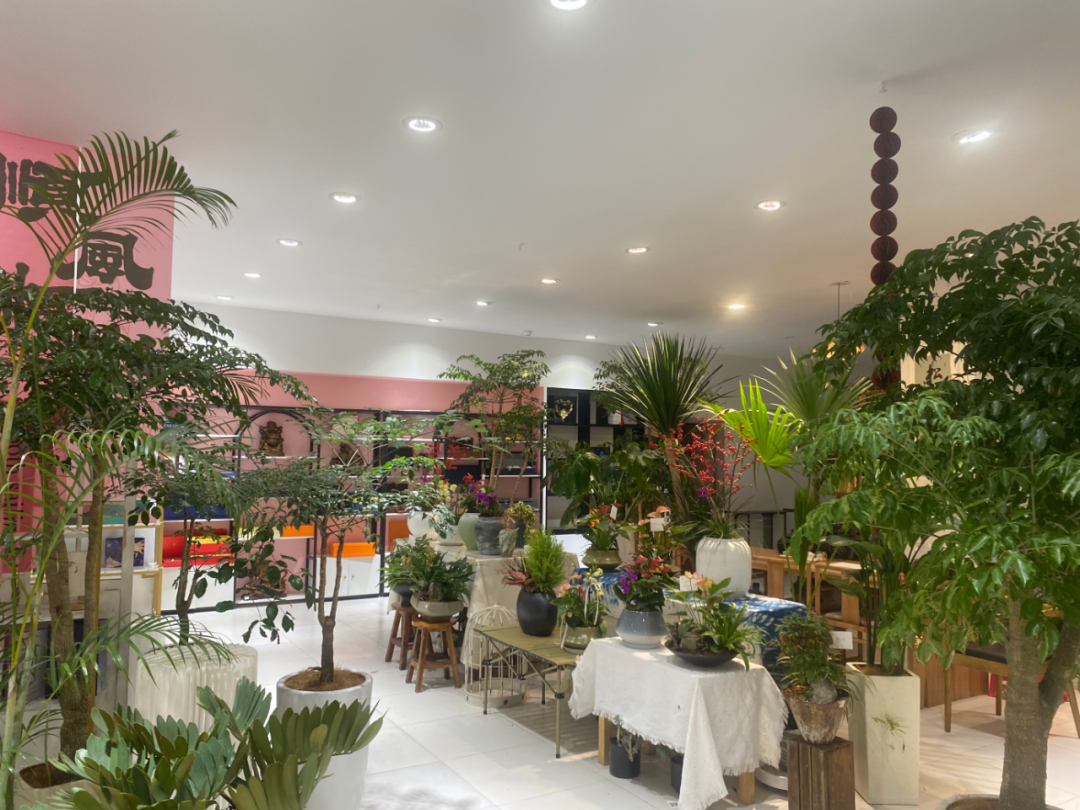 博思花藝婚慶教育，婚慶培訓(xùn)，花藝培訓(xùn)，插花培訓(xùn)，花藝師培訓(xùn)，主持人培訓(xùn)，商務(wù)主持人培訓(xùn)，花店運(yùn)營培訓(xùn)，花店全系統(tǒng)營銷，小白開花店，小白學(xué)主持，金璽棠婚慶酒店，金璽棠總部，鄭州金麻雀教育科技有限公司