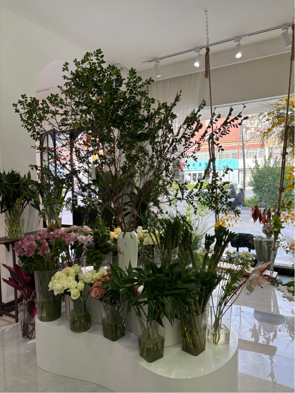 博思花藝婚慶教育，婚慶培訓(xùn)，花藝培訓(xùn)，插花培訓(xùn)，花藝師培訓(xùn)，主持人培訓(xùn)，商務(wù)主持人培訓(xùn)，花店運營培訓(xùn)，花店全系統(tǒng)營銷，小白開花店，小白學(xué)主持，金璽棠婚慶酒店，金璽棠總部，鄭州金麻雀教育科技有限公司