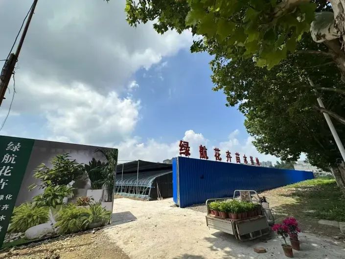 博思花藝婚慶教育，婚慶培訓(xùn)，花藝培訓(xùn)，插花培訓(xùn)，花藝師培訓(xùn)，主持人培訓(xùn)，商務(wù)主持人培訓(xùn)，花店運(yùn)營(yíng)培訓(xùn)，花店全系統(tǒng)營(yíng)銷(xiāo)，小白開(kāi)花店，小白學(xué)主持，金璽棠婚慶酒店，金璽棠總部，鄭州金麻雀教育科技有限公司