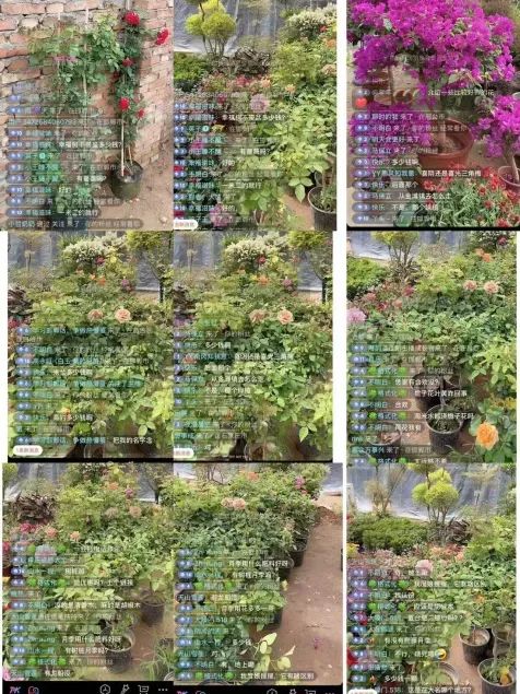 博思花藝婚慶教育，婚慶培訓(xùn)，花藝培訓(xùn)，插花培訓(xùn)，花藝師培訓(xùn)，主持人培訓(xùn)，商務(wù)主持人培訓(xùn)，花店運(yùn)營(yíng)培訓(xùn)，花店全系統(tǒng)營(yíng)銷(xiāo)，小白開(kāi)花店，小白學(xué)主持，金璽棠婚慶酒店，金璽棠總部，鄭州金麻雀教育科技有限公司