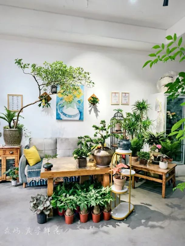 博思花藝婚慶教育，婚慶培訓，花藝培訓，插花培訓，花藝師培訓，主持人培訓，商務主持人培訓，花店運營培訓，花店全系統(tǒng)營銷，小白開花店，小白學主持，金璽棠婚慶酒店，金璽棠總部，鄭州金麻雀教育科技有限公司