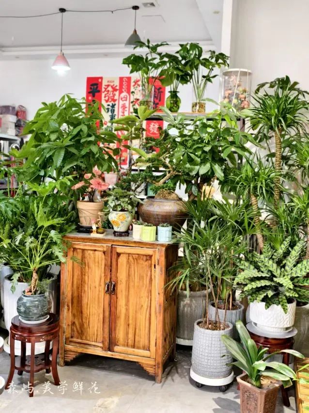 博思花藝婚慶教育，婚慶培訓，花藝培訓，插花培訓，花藝師培訓，主持人培訓，商務主持人培訓，花店運營培訓，花店全系統(tǒng)營銷，小白開花店，小白學主持，金璽棠婚慶酒店，金璽棠總部，鄭州金麻雀教育科技有限公司