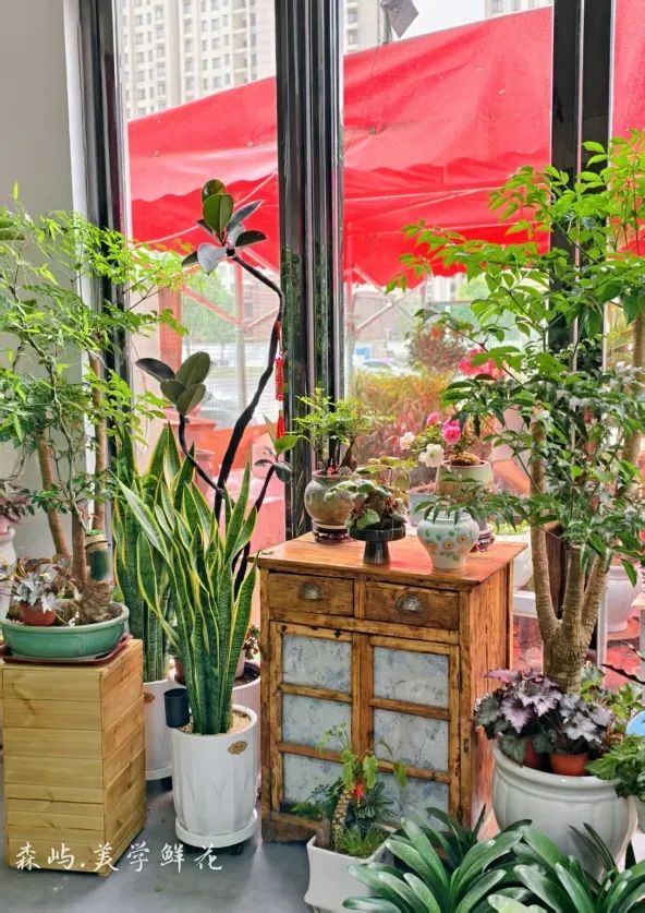 博思花藝婚慶教育，婚慶培訓，花藝培訓，插花培訓，花藝師培訓，主持人培訓，商務主持人培訓，花店運營培訓，花店全系統(tǒng)營銷，小白開花店，小白學主持，金璽棠婚慶酒店，金璽棠總部，鄭州金麻雀教育科技有限公司